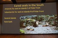 
DSC00196